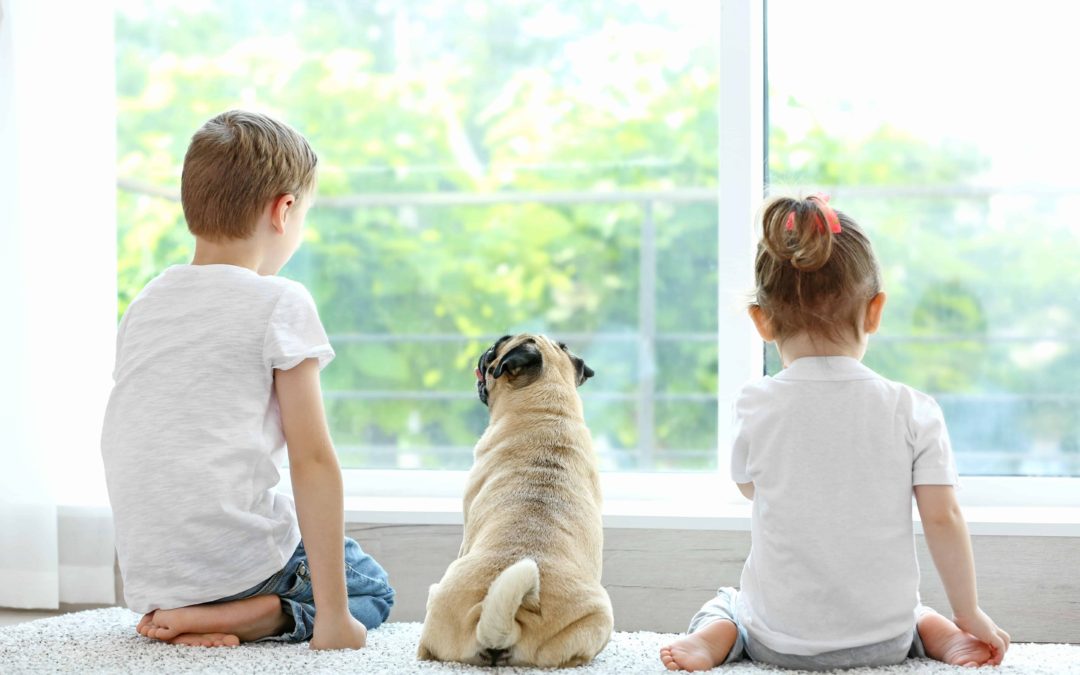 Introducing Your Puppy to Kids _ Dog Training Now