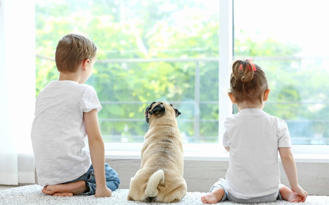 Introducing Your Puppy to Kids _ Dog Training Now Dog Training Now