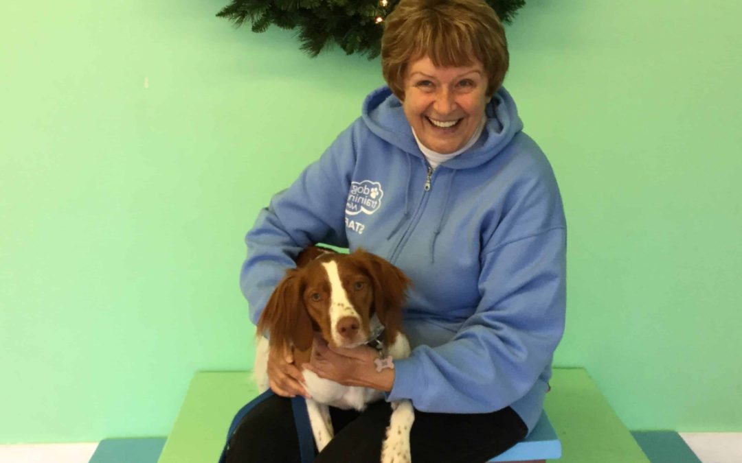 Meet the Dog Training Now Staff: Jackie
