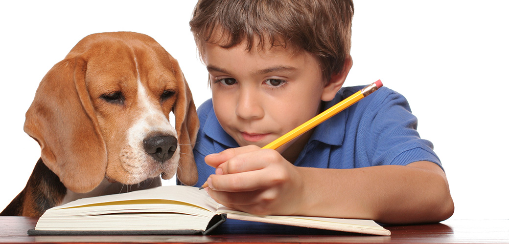 Back to School Tips for Your Dog