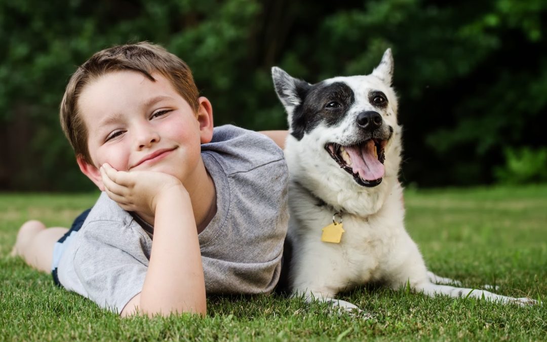 What Your Child Needs to Know About Interacting with Dogs