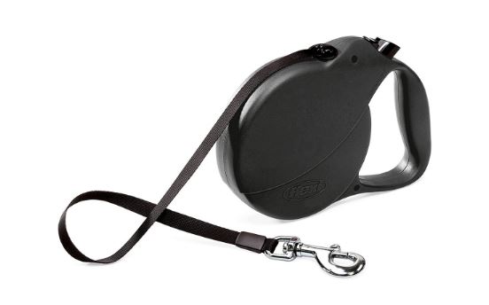Three Great Reasons to Rethink That Retractable Leash