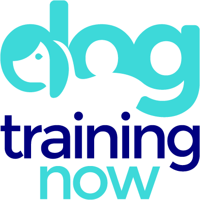 Dog Training Now- Dog Training Programs-Dog Training Now Logo