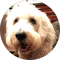 Maggie F. Avatar